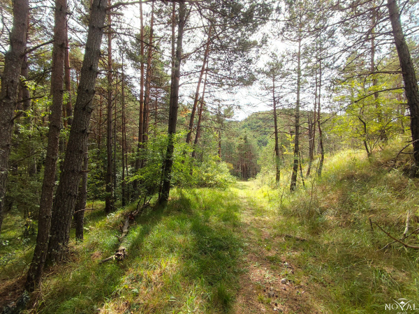 Offres de vente Terrain La Martre 83840